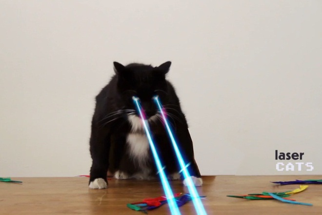 Istoriyata na gifchetata