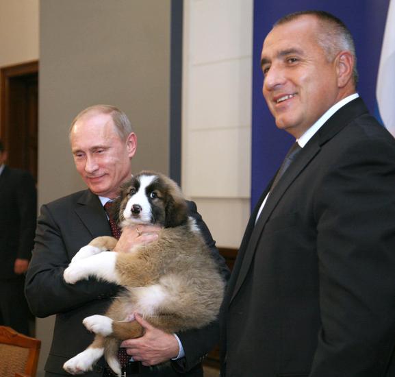 Путин, Борисов и Бъфи