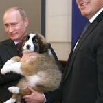 Путин, Борисов и Бъфи