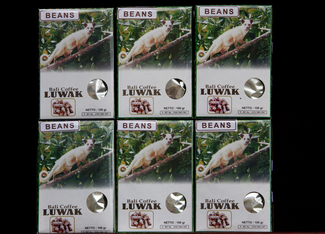 Копи Лувак - друг вариант на най-скъпото кафе