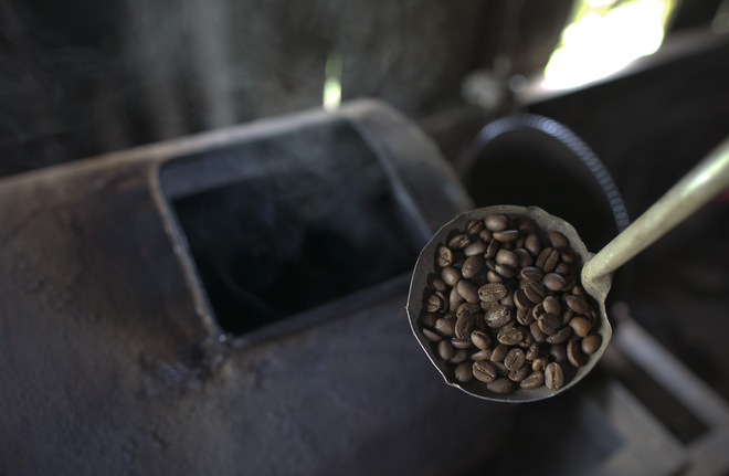 Изпечените зърна на кафето "копи лувак"