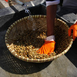 Производство на елитно кафе в Бали