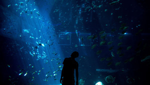 Marine Life Park в Сингапур