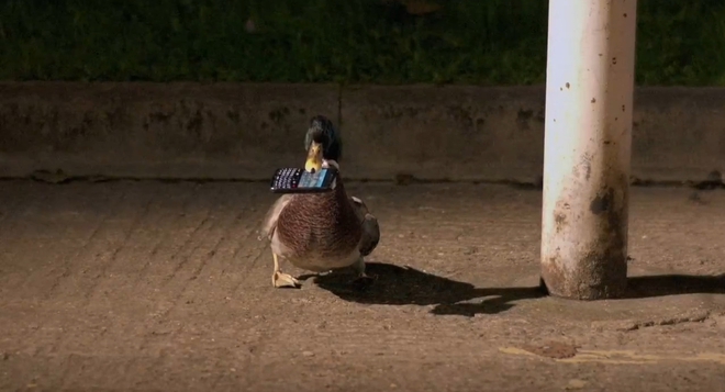 Отмъщението на патиците