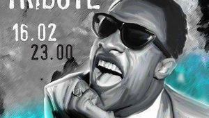 Музиката на Стиви Уондър