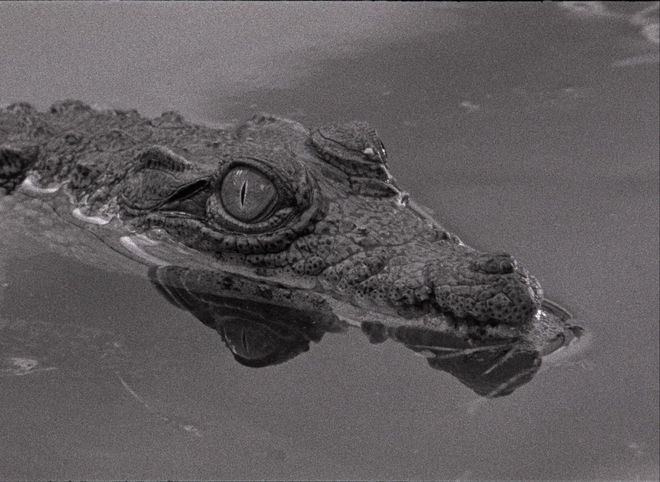 Табу (Португалия)