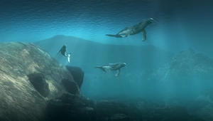 Извънземни от дъното - Огънят на сътворението