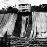 2013 Sony World Photography Awards: Околна среда