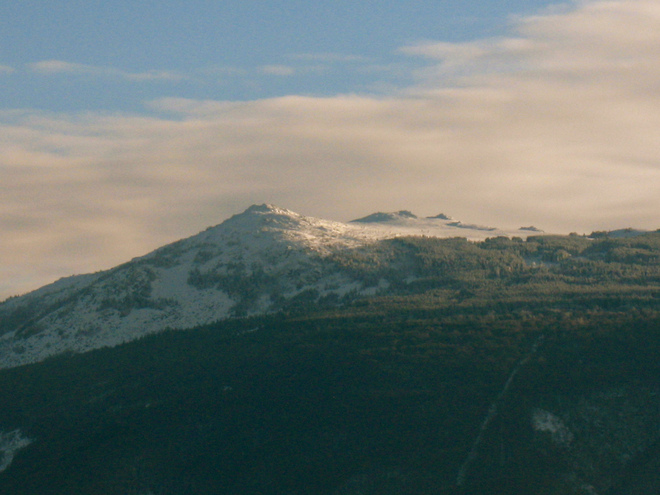 Фест на Витоша