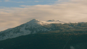 Фест на Витоша