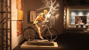 Изложбата "Човешкото тяло - разкрито и реално"