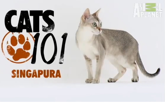 Singapura na izlozhba v sofiya