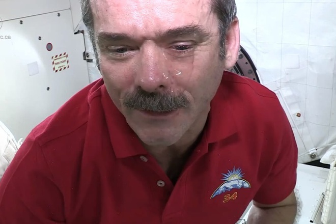 Kris hatfiyld plache