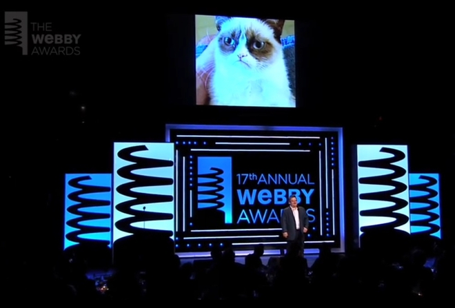 Награда "Уеби" за сърдита котка