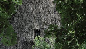Водната кула в Лозенец - детайл