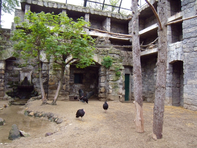 Зоопаркът във Виена: Птичарникът