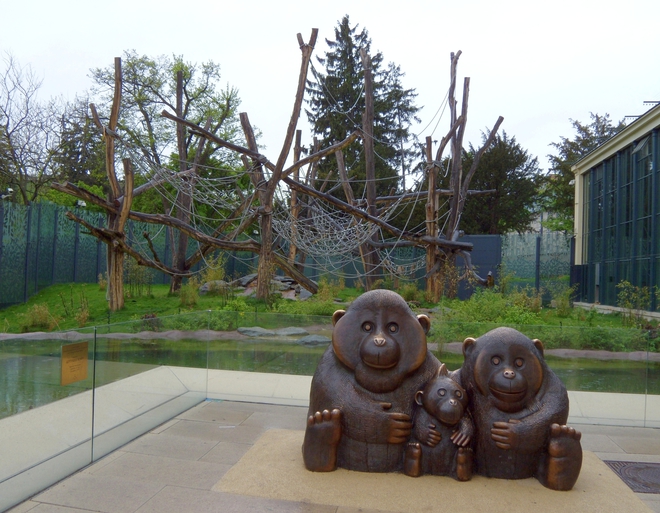 Зоопаркът във Виена: Оранг-ерията