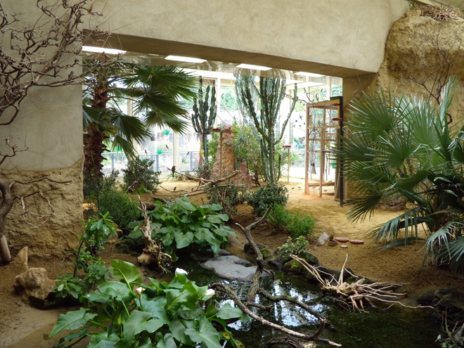 Зоопаркът във Виена: Волиера