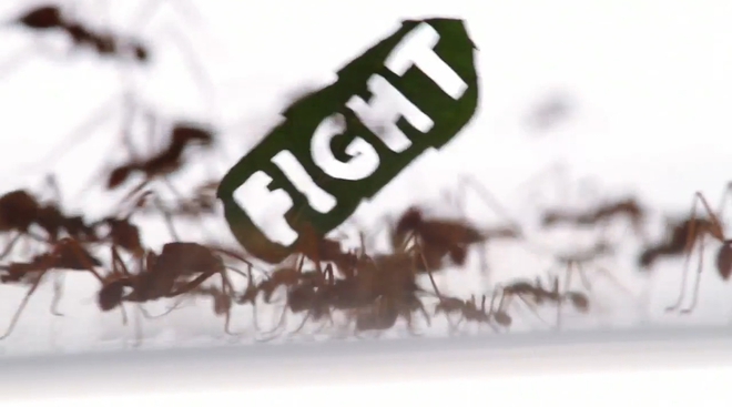 Протестът на мравките