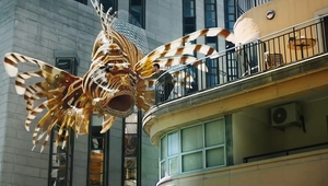 Подводен свят в града