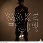 Wake Me Up на Авичи