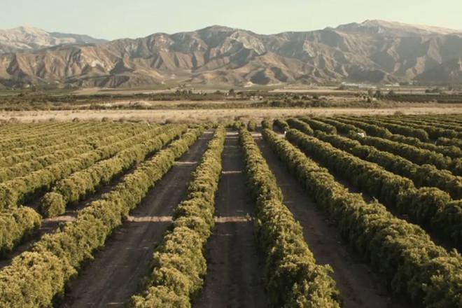 Kadar ot klipa wake me up na avichi