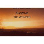 "Маник стрийт прийчърс" - Show Me The Wonder