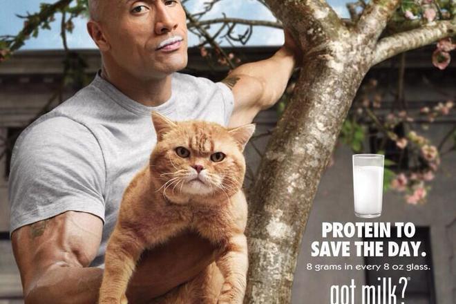 Skalata s mustachki ot mlyako