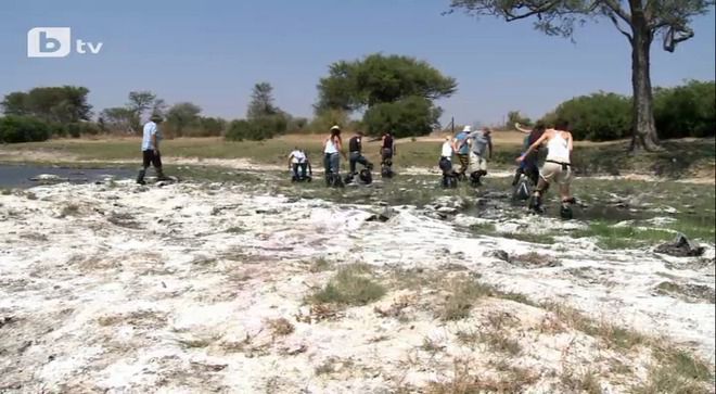 Африканско мочурище