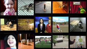 20 кратки смешни видеа