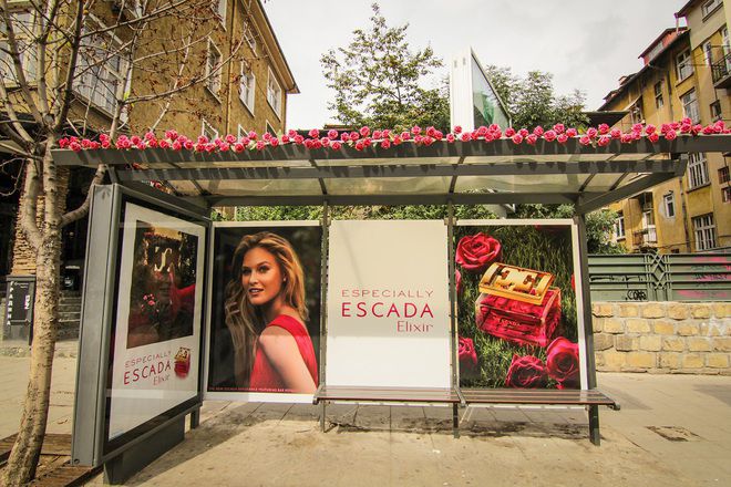 София в рози