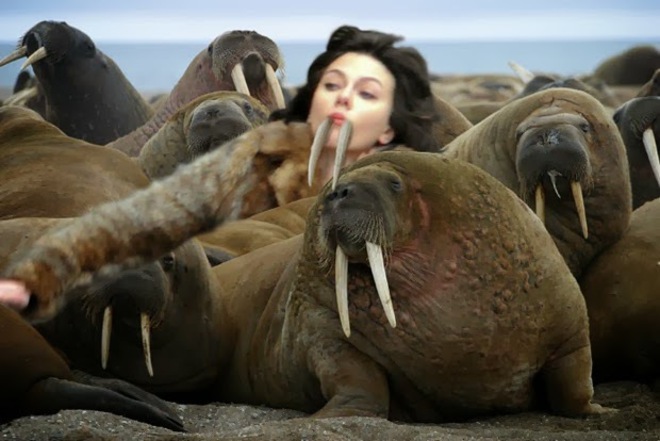 Скарлет Йохансон пада (4)