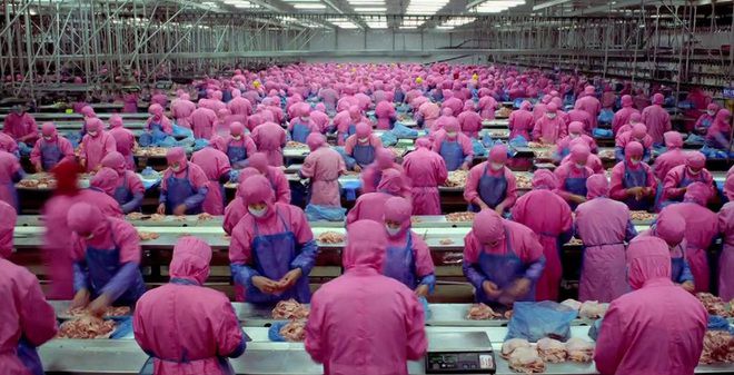 Кадър от филма Samsara