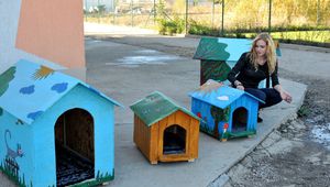 Нанси Карабойчева и кучешките колибки