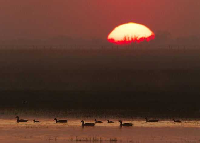 Планетата Европа: Езерото Нойзидлер Зее