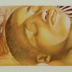 Христо Габеров, "Африкански сънища"