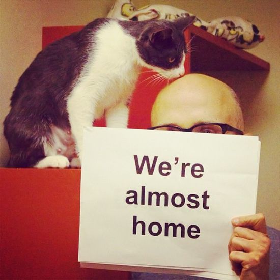 Моби с бездомна котка в клипа си Almost Home