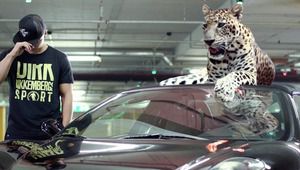 Кристо и леопардът от видеоклипа към Paradise