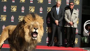 Силвестър Сталоун и лъвът на MGM