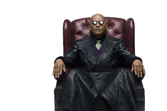 Lorans fishbarn kato morfey v reklama