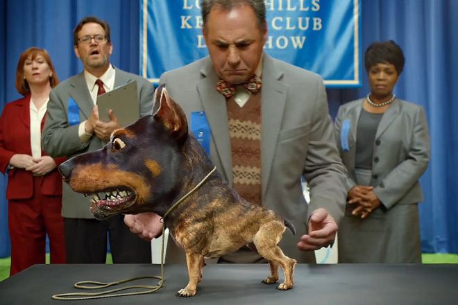Doberhuahua v reklamata na audi