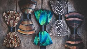 Папийонки Brackish Brand