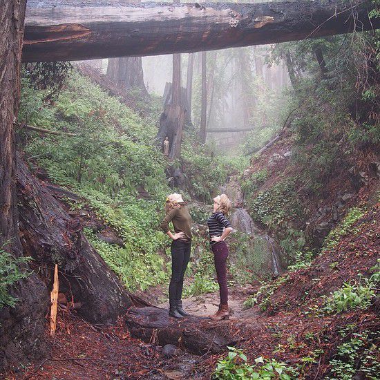 Тейлър Суифт и Карли Клос в гората