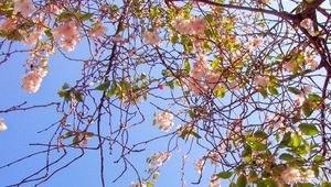 Пролетта настъпва