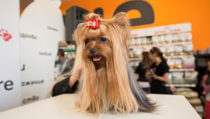 Шампионът Фредерико