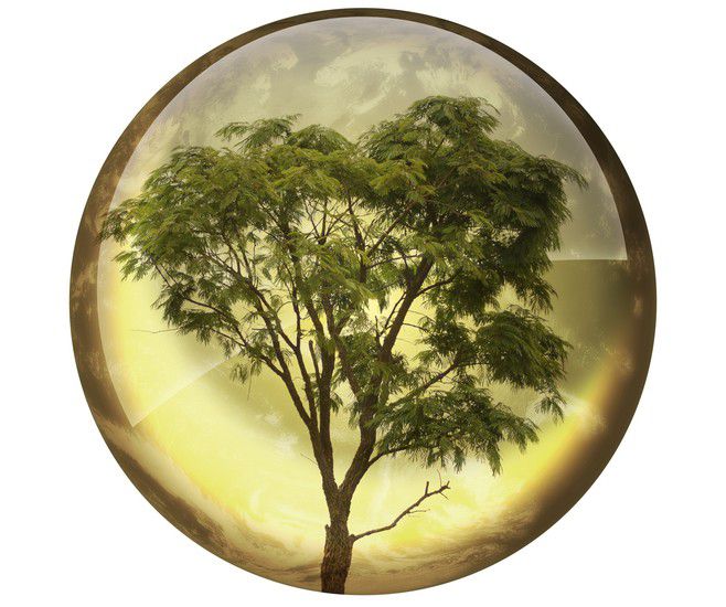 Глобално затопляне