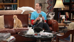 Не прекалявайте с броя на домашните любимци!