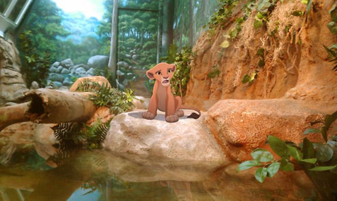 Цар Лъв продължава да е цар, но вече в зоопарка