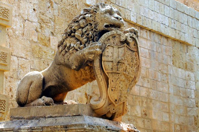 Kamennite lavove pred drevniya grad mdina malta