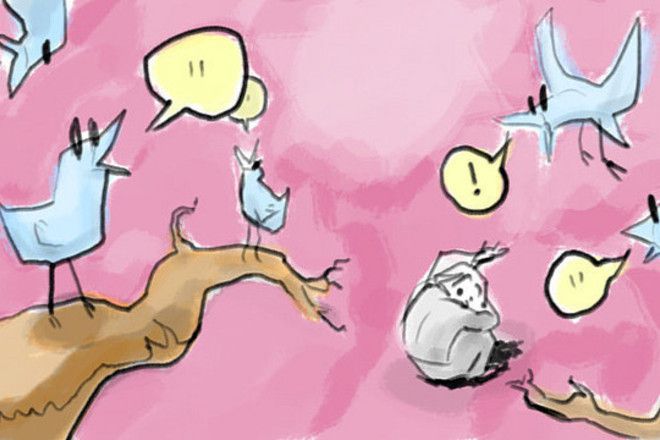 Nova portsiya twitter